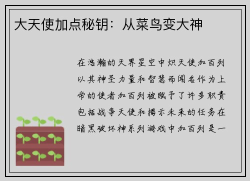 大天使加点秘钥：从菜鸟变大神